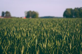 yield farm ada on coinbase staking guide