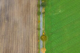 yield farm atom guide