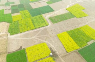 yield farm dai in 2025