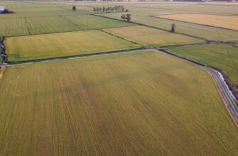 yield farm dai on rocket pool in 2025