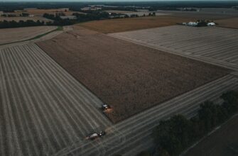 yield farm dot guide