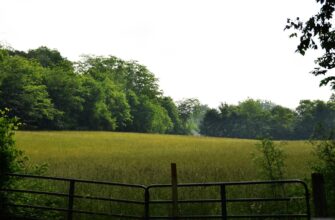 yield farm dot on aave no lock