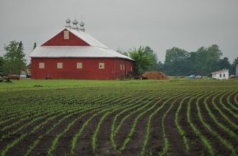 yield farm dot on beefy finance guide