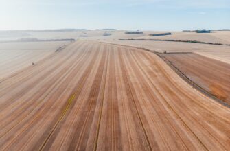 yield farm dot on pendle in 2025