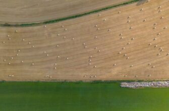 yield farm eth on pendle step by step