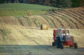 yield farm eth on yearn finance flexible