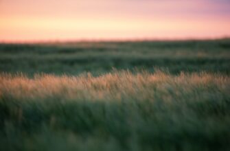 yield farm ethereum on aave highest apy