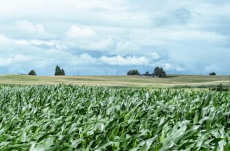 yield farm ethereum on binance earn flexible