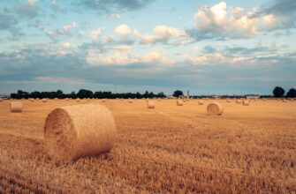 yield farm ethereum on coinbase staking low risk