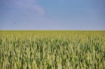 yield farm ethereum on lido finance flexible