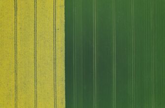 yield farm ethereum on pendle best apy
