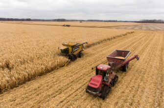 yield farm matic on yearn finance step by step