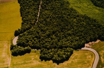 yield farm sol on pendle highest apy