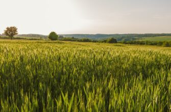 yield farm solana on aave in 2025