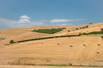 yield farm ton on aave in 2025