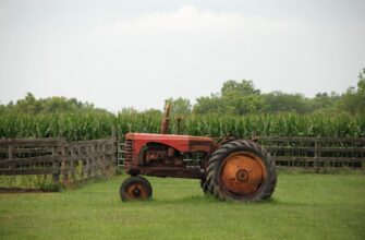 yield farm ton on beefy finance no lock