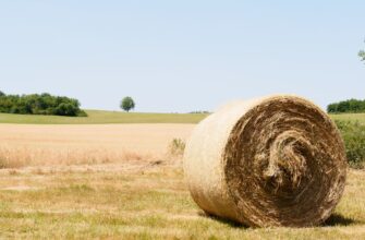 yield farm ton on binance earn no lock
