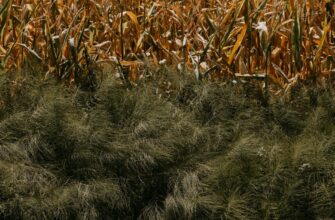 yield farm ton on kraken staking flexible