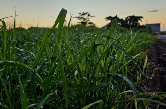 yield farm ton on kraken staking highest apy