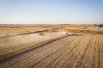 yield farm usdc on beefy finance in 2025