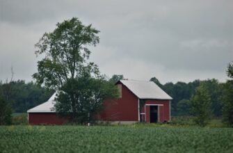 yield farm usdt guide