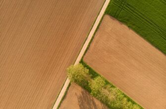 yield farm usdt on yearn finance guide