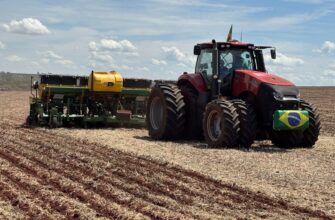 yield farm usdt on yearn finance in 2025