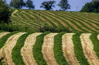yield farm usdt on yearn finance no lock