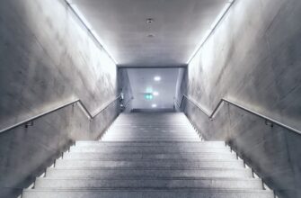 backup ledger offline step by step