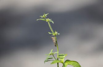 backup seed phrase without kyc step by step
