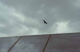 claim arb airdrop on kucoin