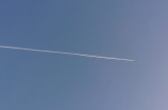 claim avax airdrop on scroll