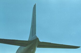 claim ton airdrop on polygon