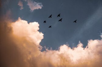 collect eth airdrop on optimism