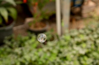 collect ethereum airdrop on optimism