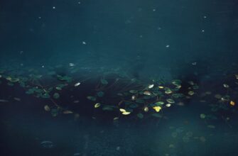 deposit eth on rocket pool tutorial