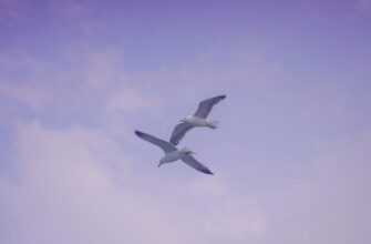 earn ethereum airdrop on zksync