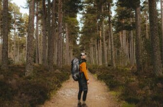 earn interest bnb on pendle guide