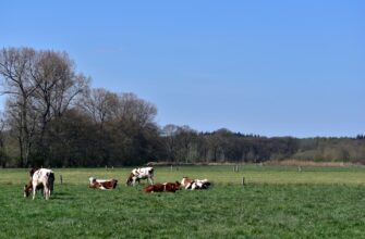 farm bnb on aave guide