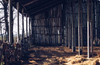 farm cardano on coinbase staking