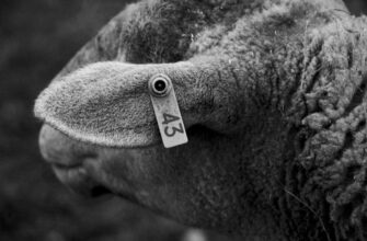farm ethereum on binance earn no lock