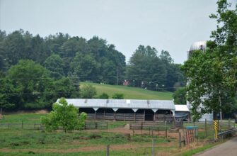 farm ethereum on compound