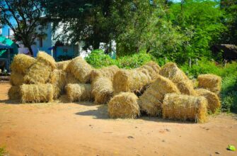farm solana on binance earn no lock