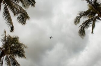 free matic airdrop in nigeria