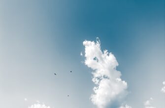 free solana airdrop in brazil