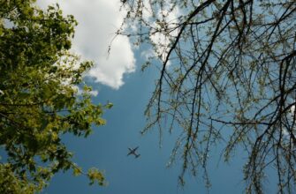free zro airdrop in nigeria