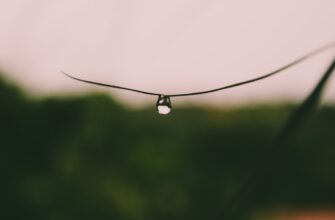 get dot airdrop on optimism
