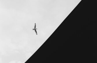 get opbnb airdrop on okx
