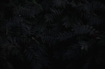 hedging ada on kraken manual
