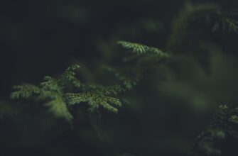 hedging cardano on kraken tutorial daily timeframe